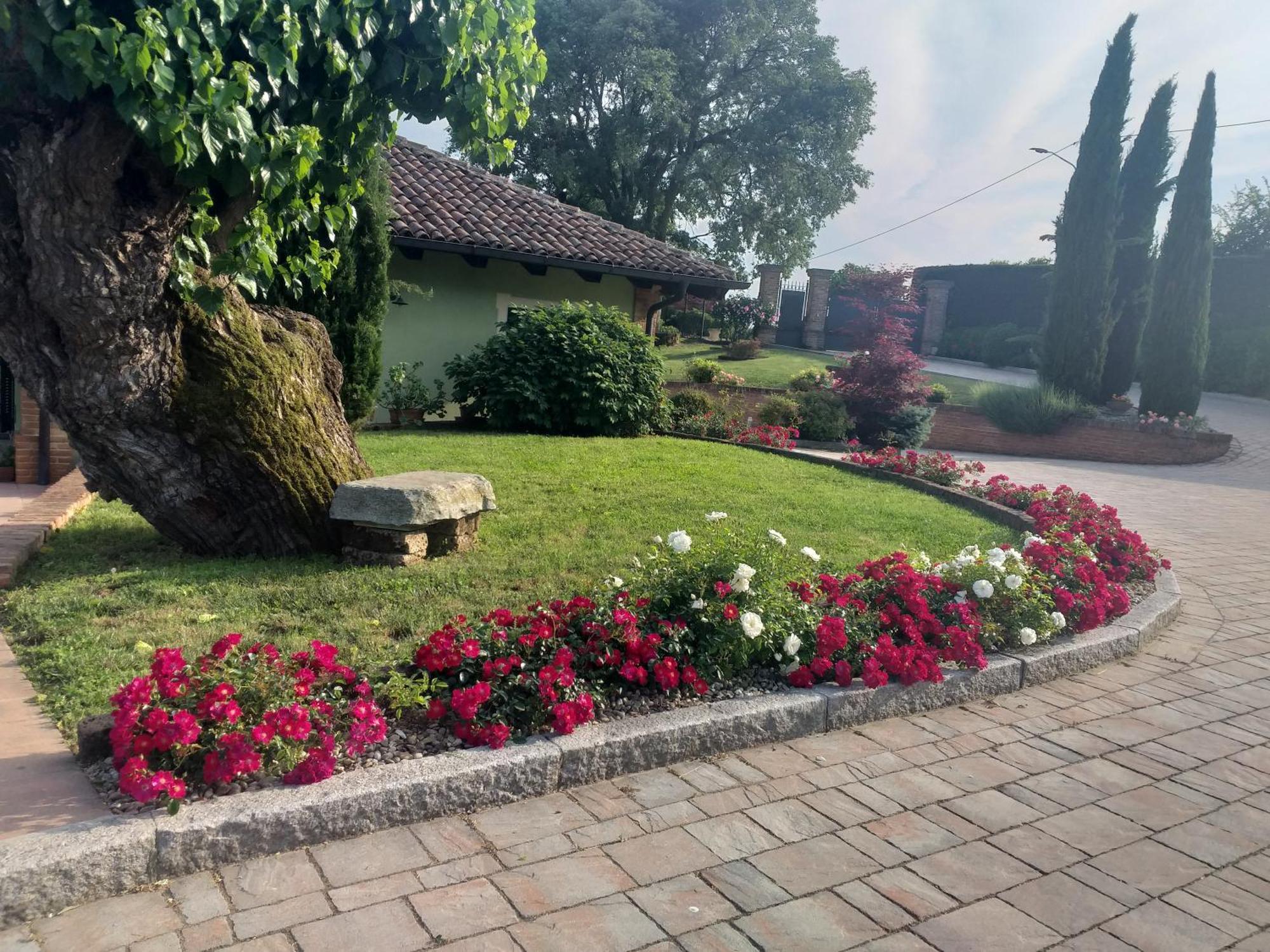 B&B La Bianchina Monale Exterior foto
